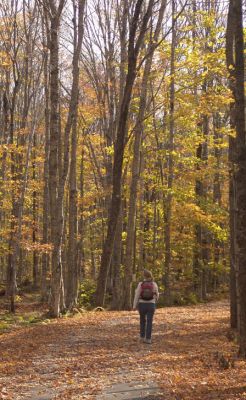 Autumn Hike
Franconia Notch Bike Path
Keywords: Franconia Notch Bike Path