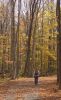 Filename=fall_hike.jpg
Filesize=142KiB
Dimensions=448x726
Date added=Feb 02, 2010 fall_hike.jpg